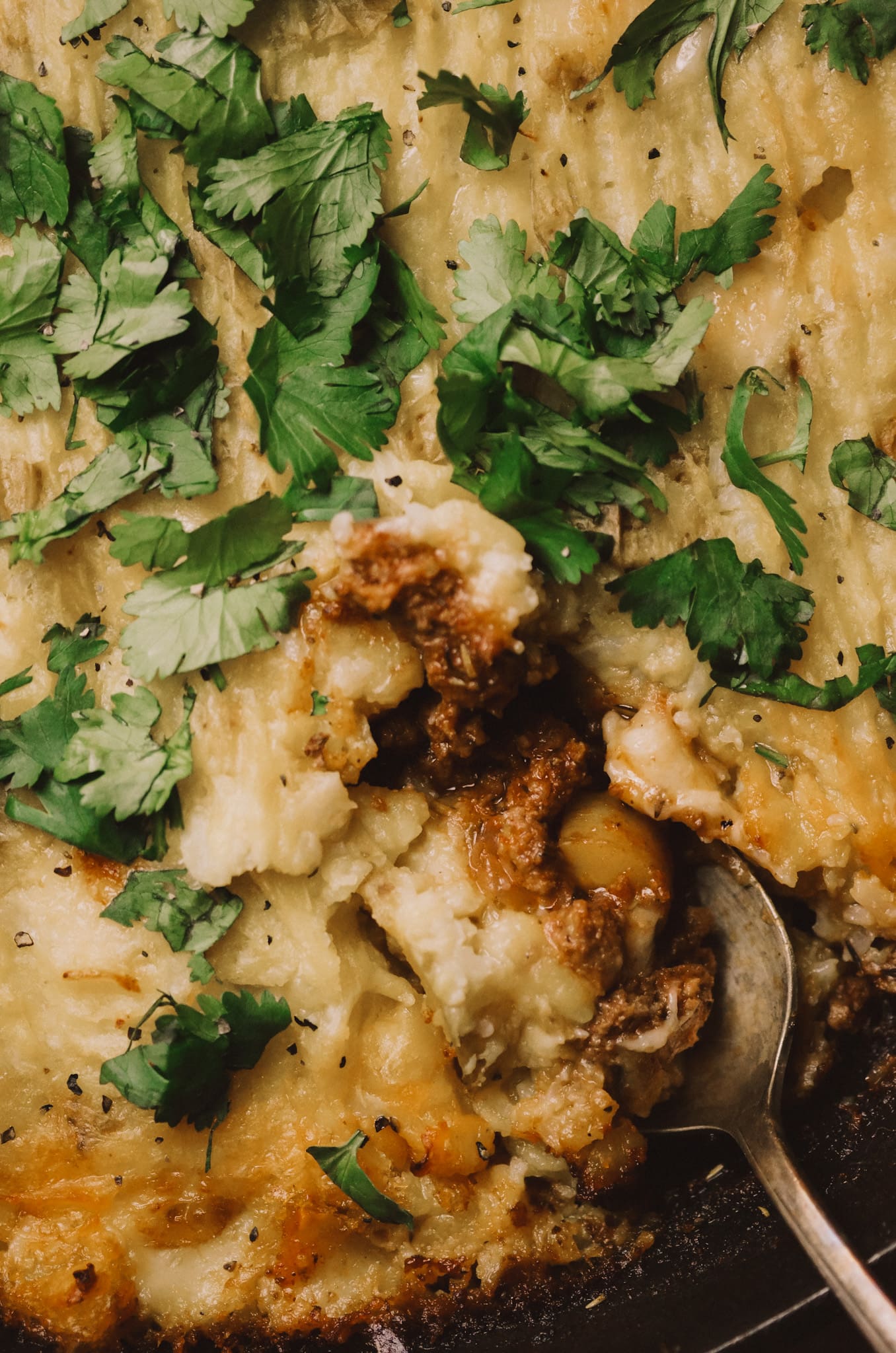 Shepherds pie in a dish