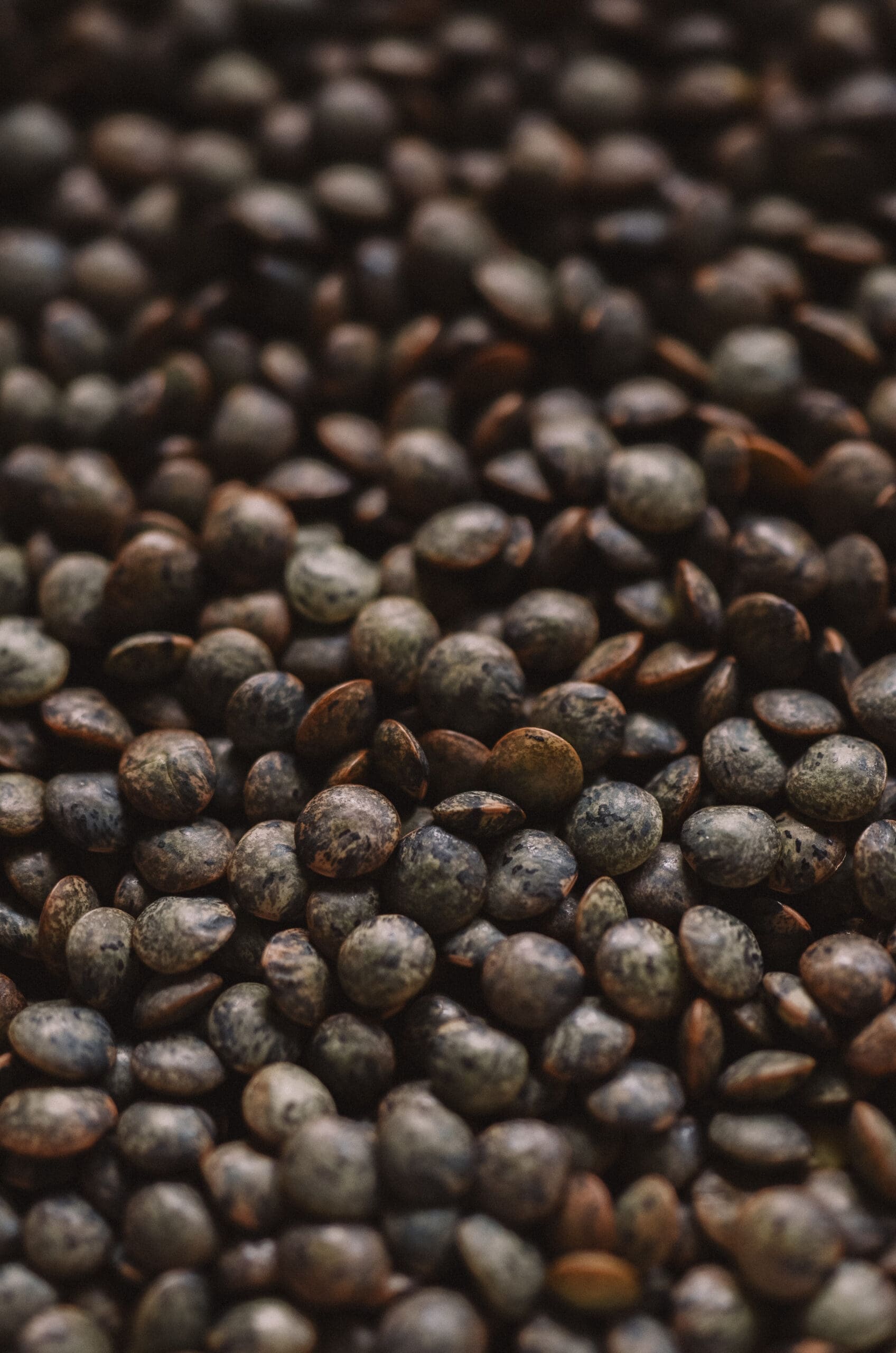 French lentils