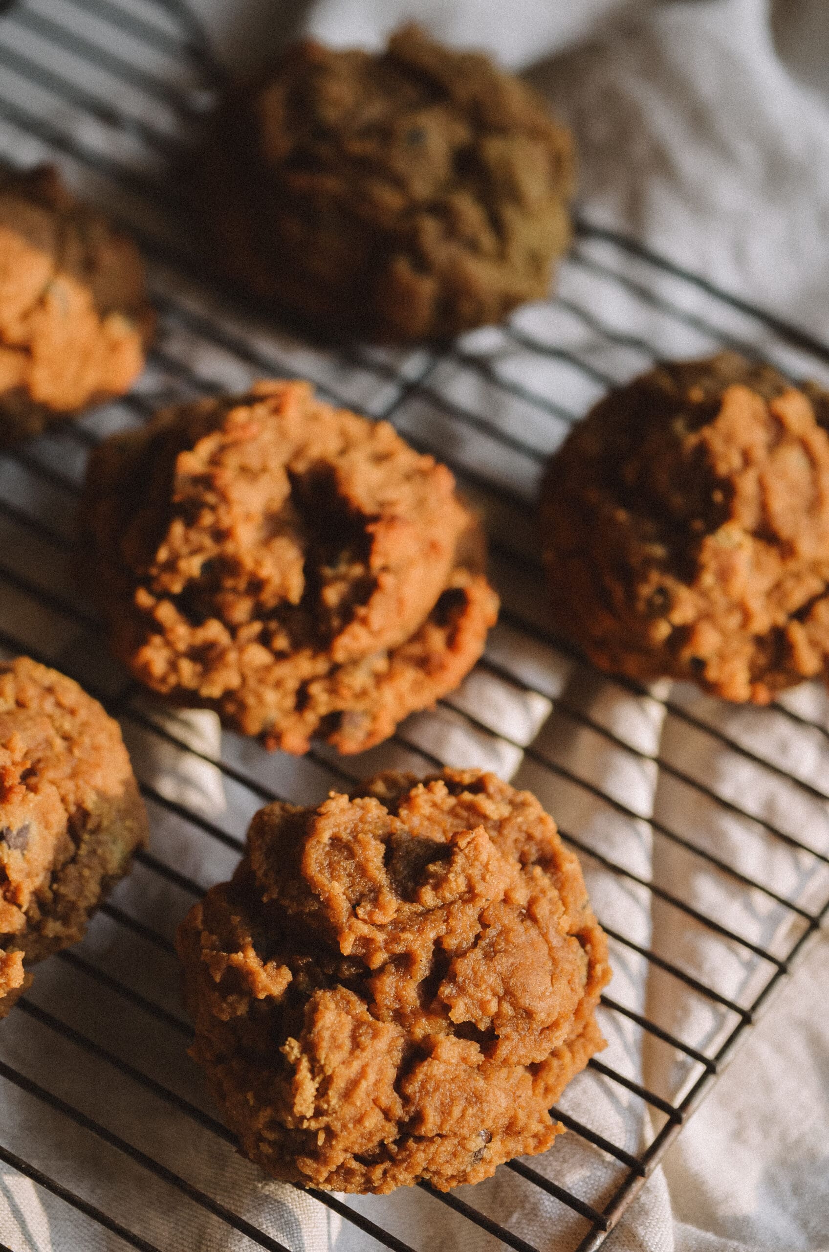 Gluten Free Pumpkin Cookies
